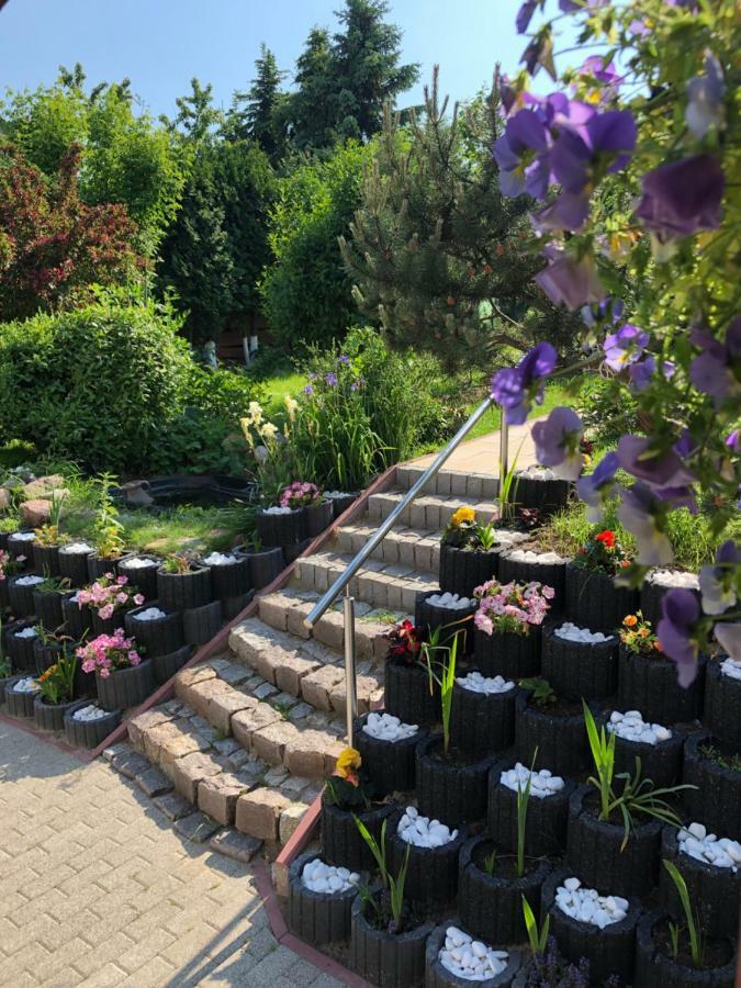 Villa Aida Pokoje Goscinne Danzica Esterno foto